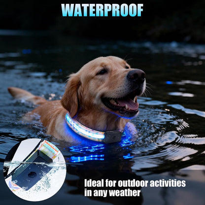 LED Dog Collar Rechargeable Color Changing, Brightest Light up Dog Collars