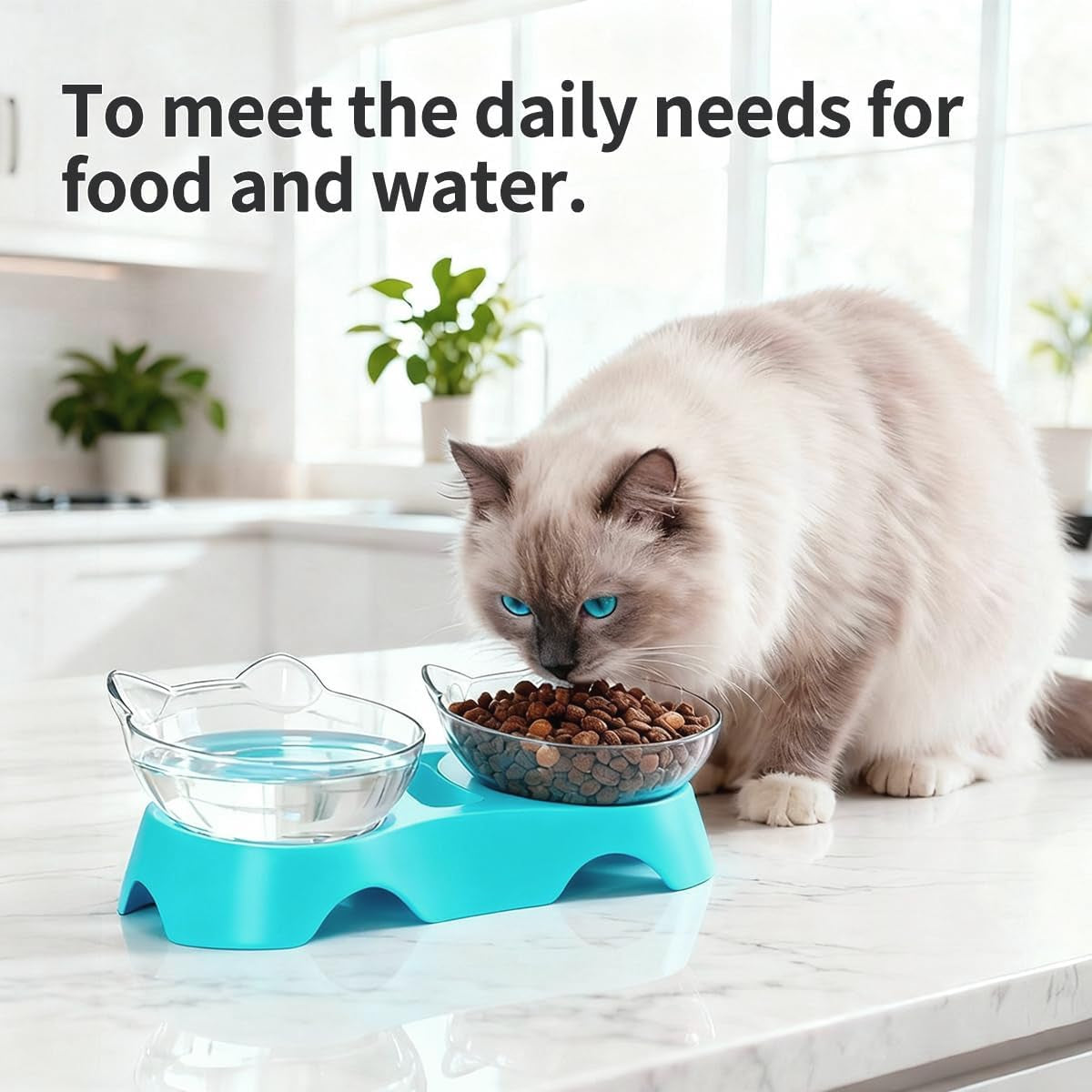 Cat Bowls, Cat Food Bowls Elevated Tilted, anti Vomiting Kitty Bowl for Puppy and Bunny, Orthopedic Bowl for Indoor.(Blue)