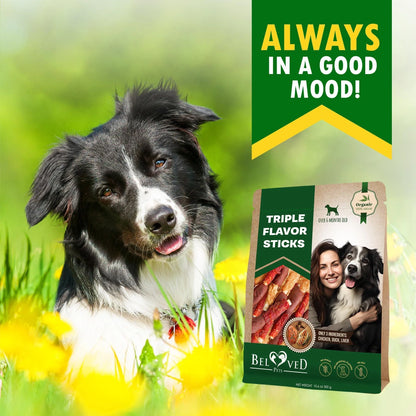 Triple Flavor Dog Rawhide Treats Duck & Chicken Human Grade Meat Natural & Organic Pet Dried Snacks Grain Free Long Lasting Chews for Large & Small Dogs Best Sticks for Healthy Teeth