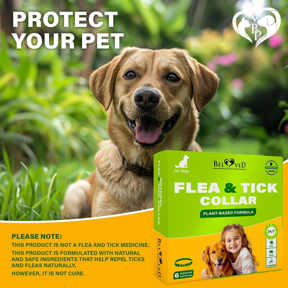 Natural Flea & Tick Collar for Dogs 6 Months Control of Best Prevention & Safe Treatment anti Fleas and Ticks Essential Oil Repellent (1 Count (Pack of 1))